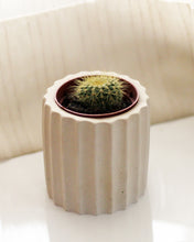 Load image into Gallery viewer, Fluted vessel and planter. Housewares at Nusa Prana Home Living Inc.

